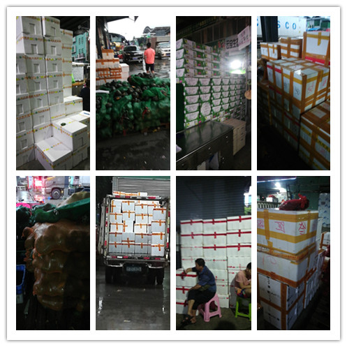 EVO厅·(中国区)视讯官网