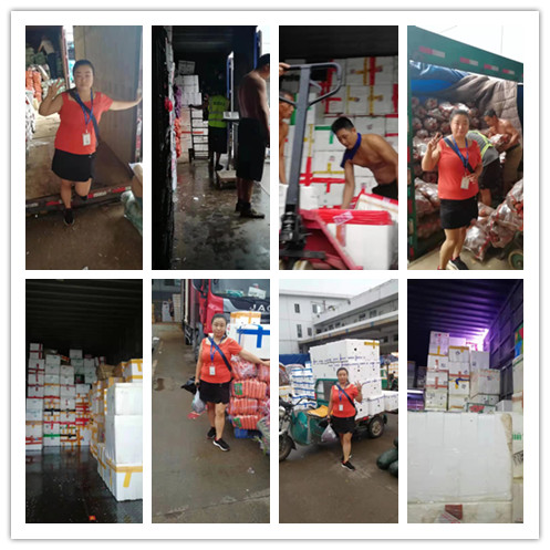 EVO厅·(中国区)视讯官网