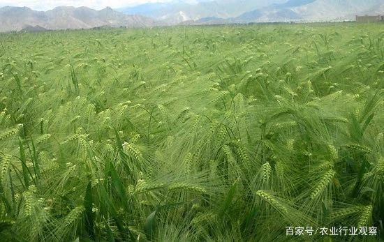 EVO厅·(中国区)视讯官网