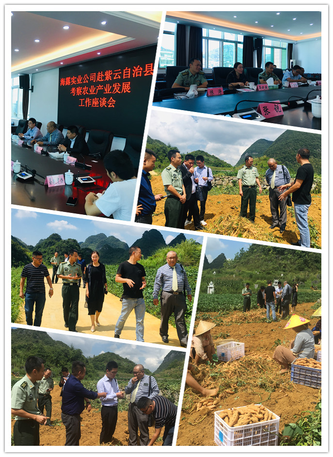 EVO厅·(中国区)视讯官网