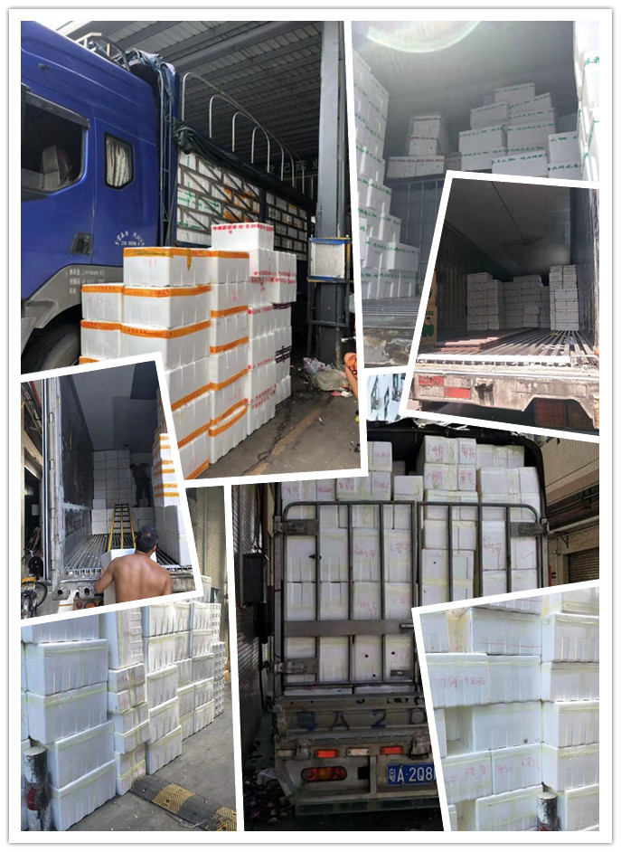 EVO厅·(中国区)视讯官网