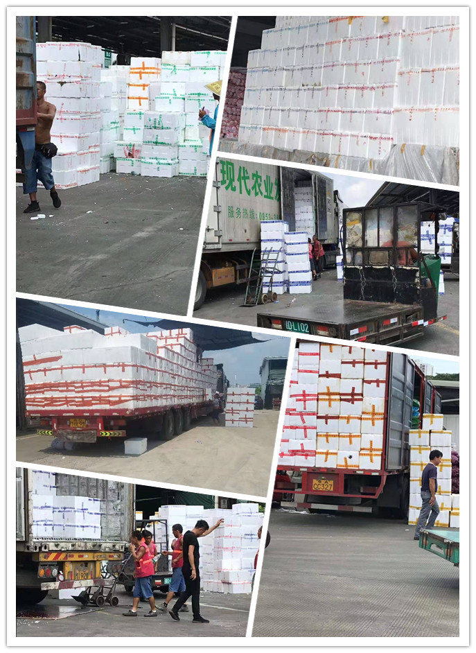 EVO厅·(中国区)视讯官网