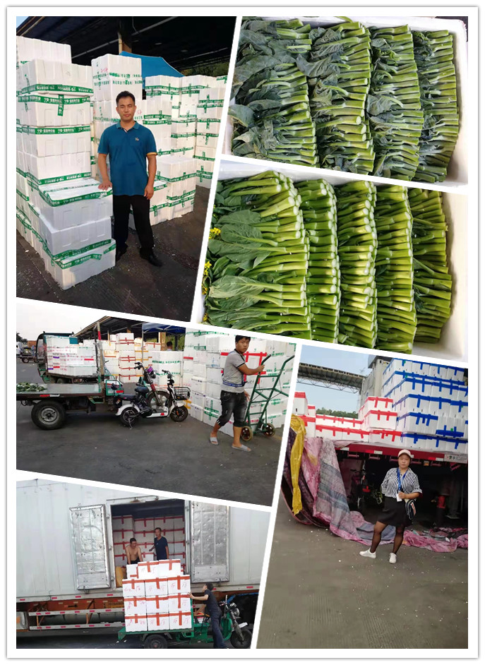 EVO厅·(中国区)视讯官网