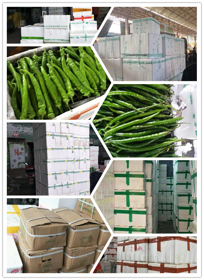 EVO厅·(中国区)视讯官网