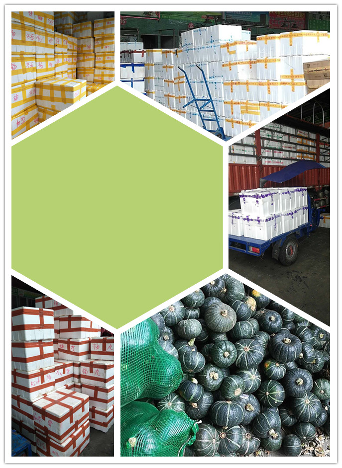 EVO厅·(中国区)视讯官网