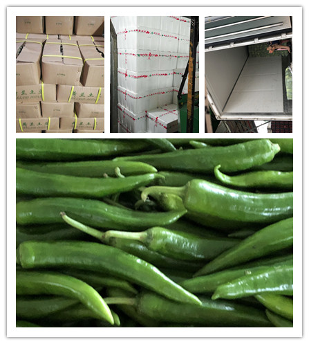 EVO厅·(中国区)视讯官网