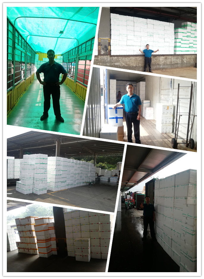 EVO厅·(中国区)视讯官网