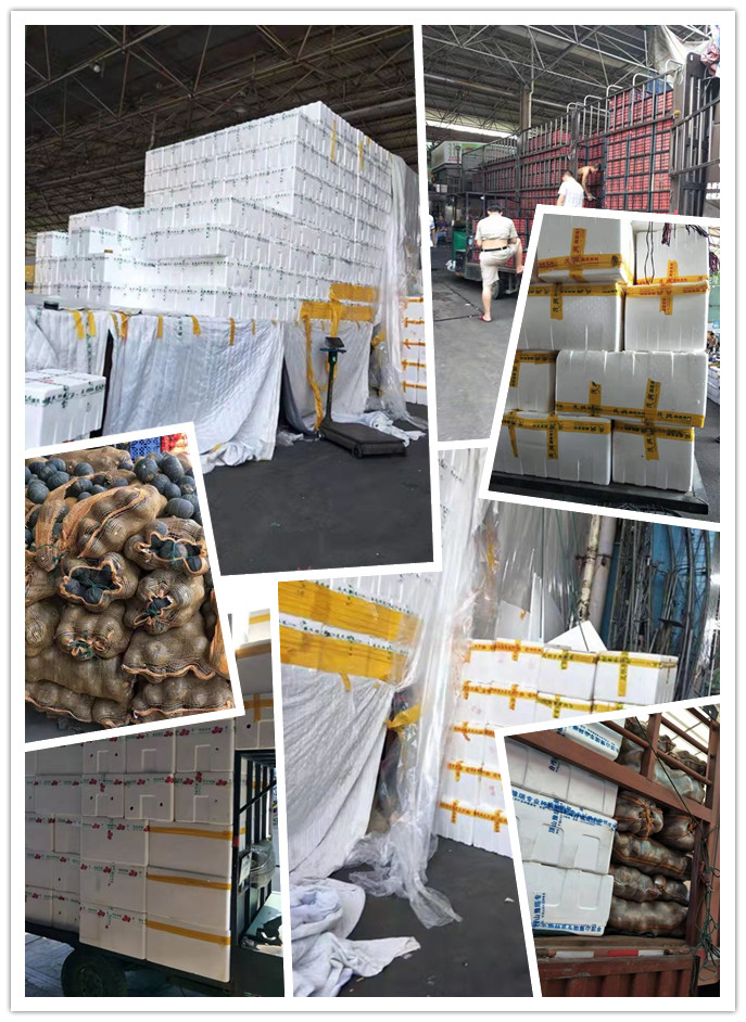 EVO厅·(中国区)视讯官网