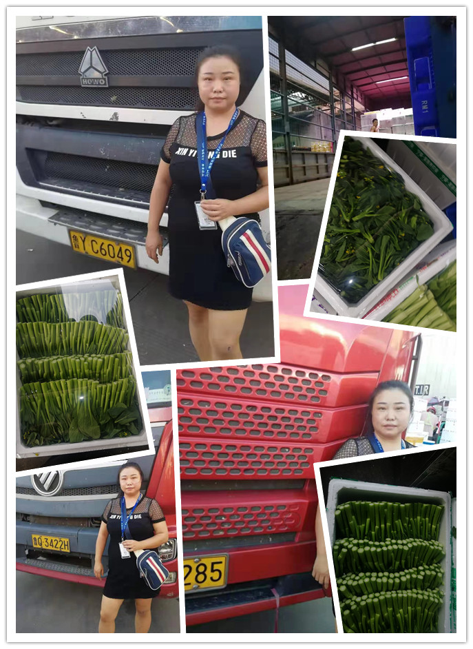 EVO厅·(中国区)视讯官网