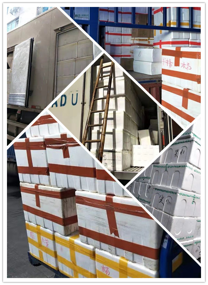 EVO厅·(中国区)视讯官网