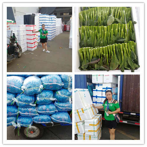 EVO厅·(中国区)视讯官网