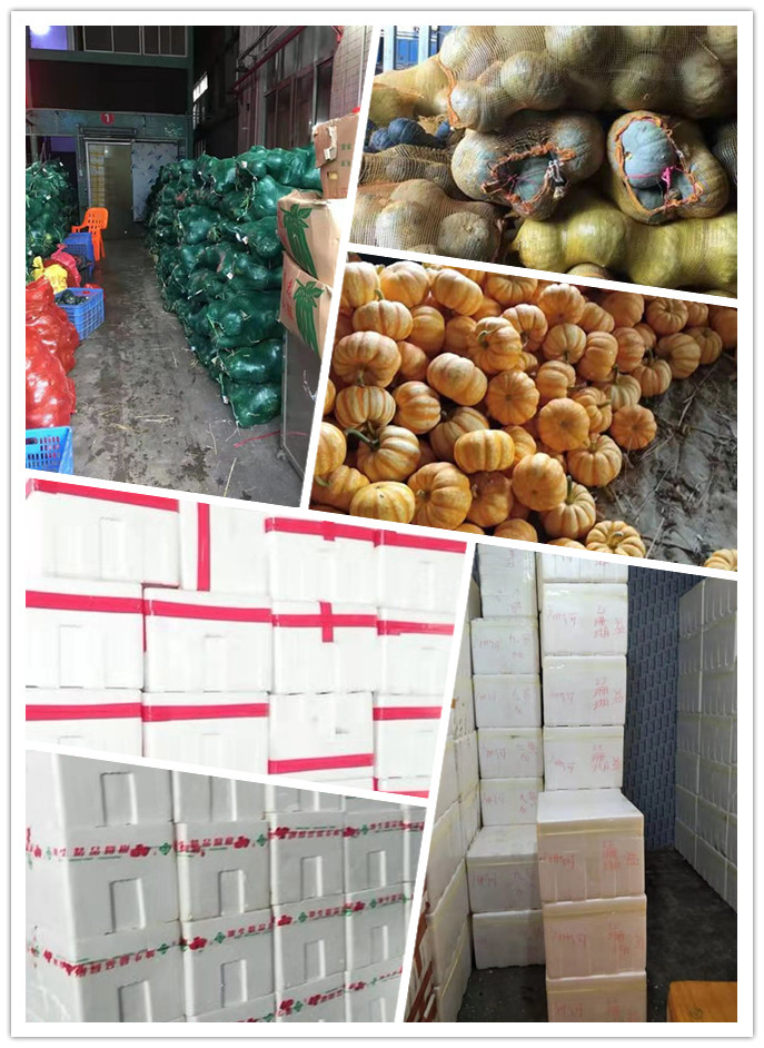 EVO厅·(中国区)视讯官网