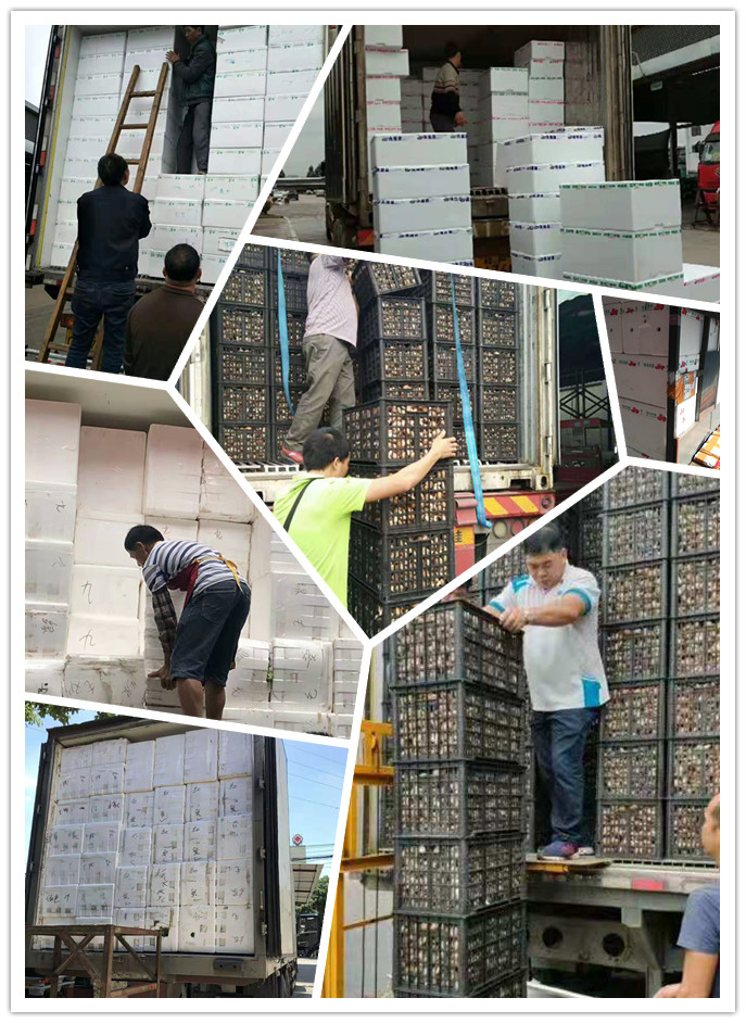 EVO厅·(中国区)视讯官网