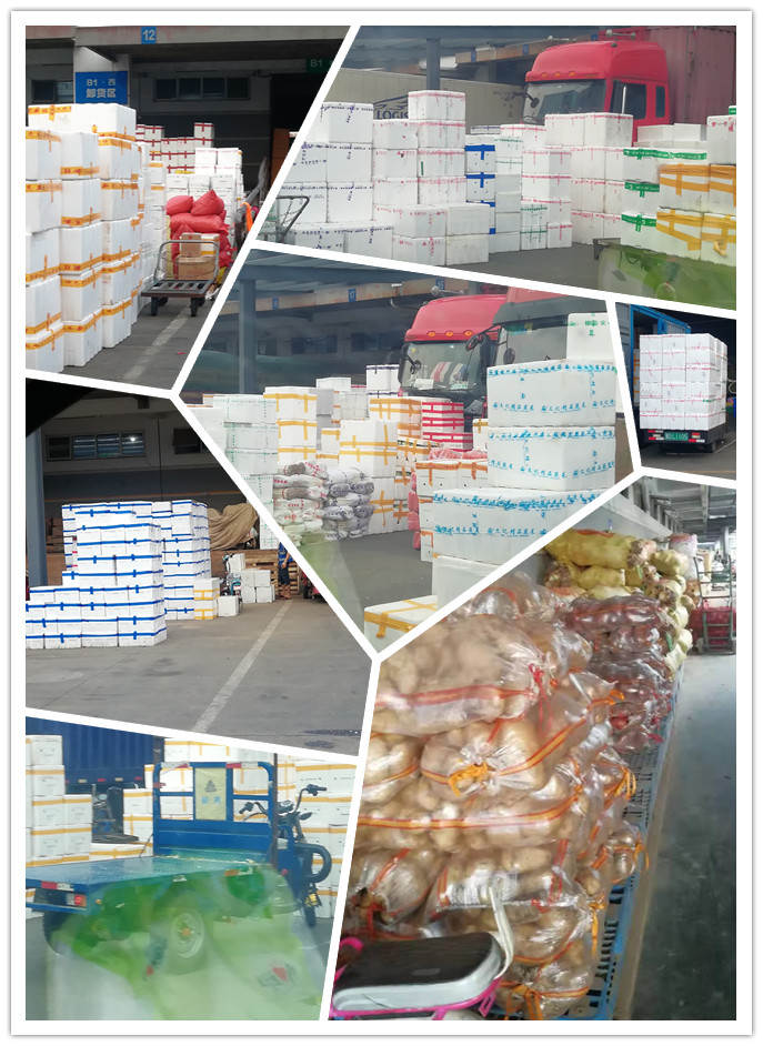 EVO厅·(中国区)视讯官网