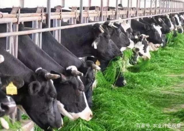 EVO厅·(中国区)视讯官网