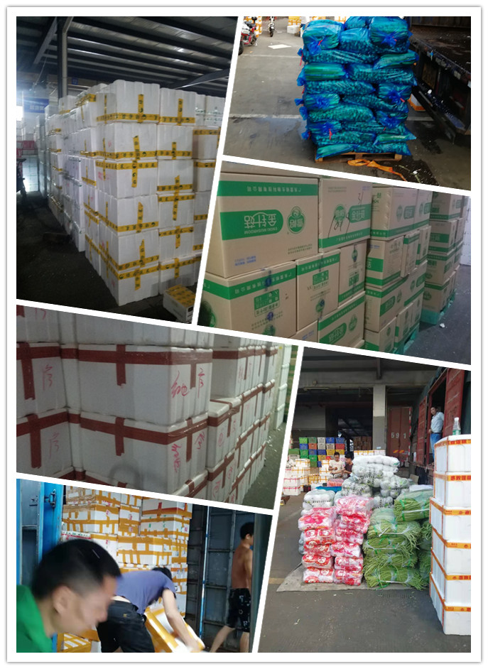 EVO厅·(中国区)视讯官网