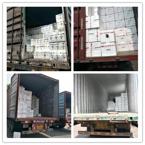 EVO厅·(中国区)视讯官网