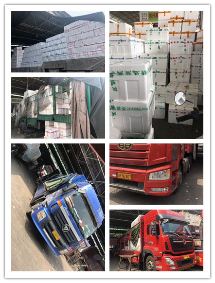 EVO厅·(中国区)视讯官网