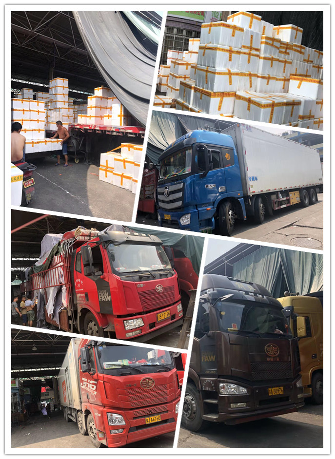 EVO厅·(中国区)视讯官网