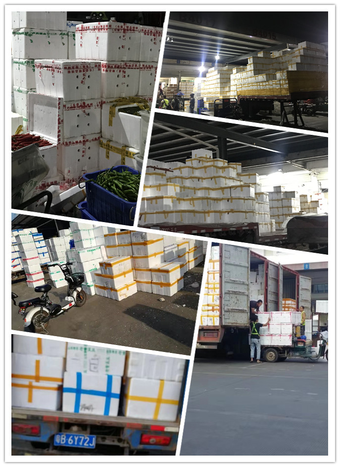 EVO厅·(中国区)视讯官网