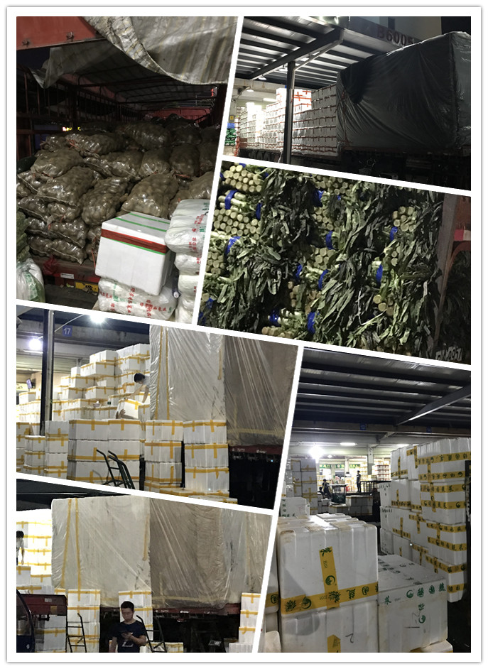 EVO厅·(中国区)视讯官网