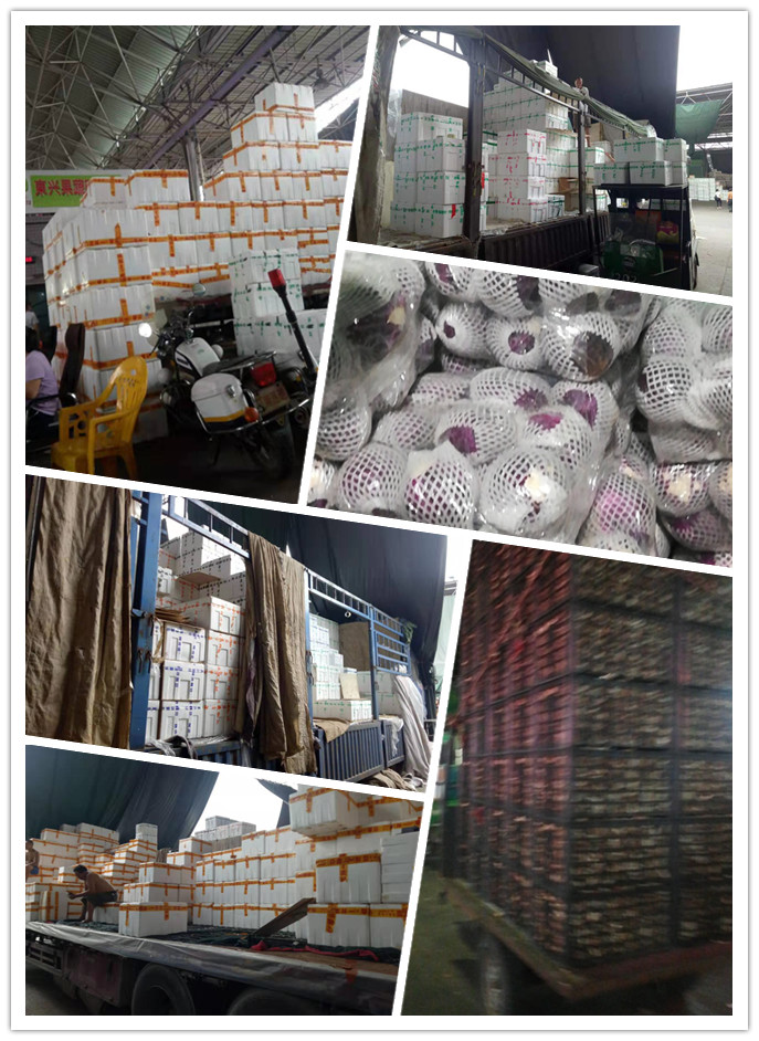 EVO厅·(中国区)视讯官网