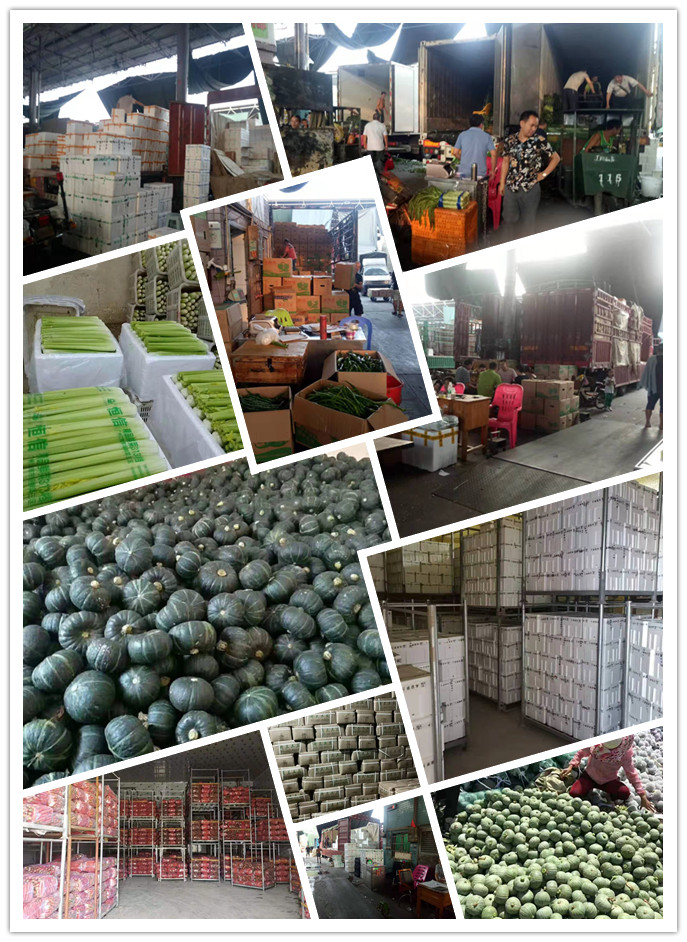 EVO厅·(中国区)视讯官网