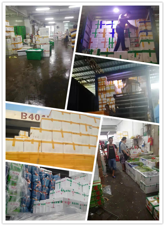 EVO厅·(中国区)视讯官网