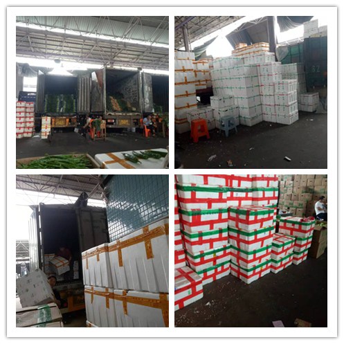 EVO厅·(中国区)视讯官网