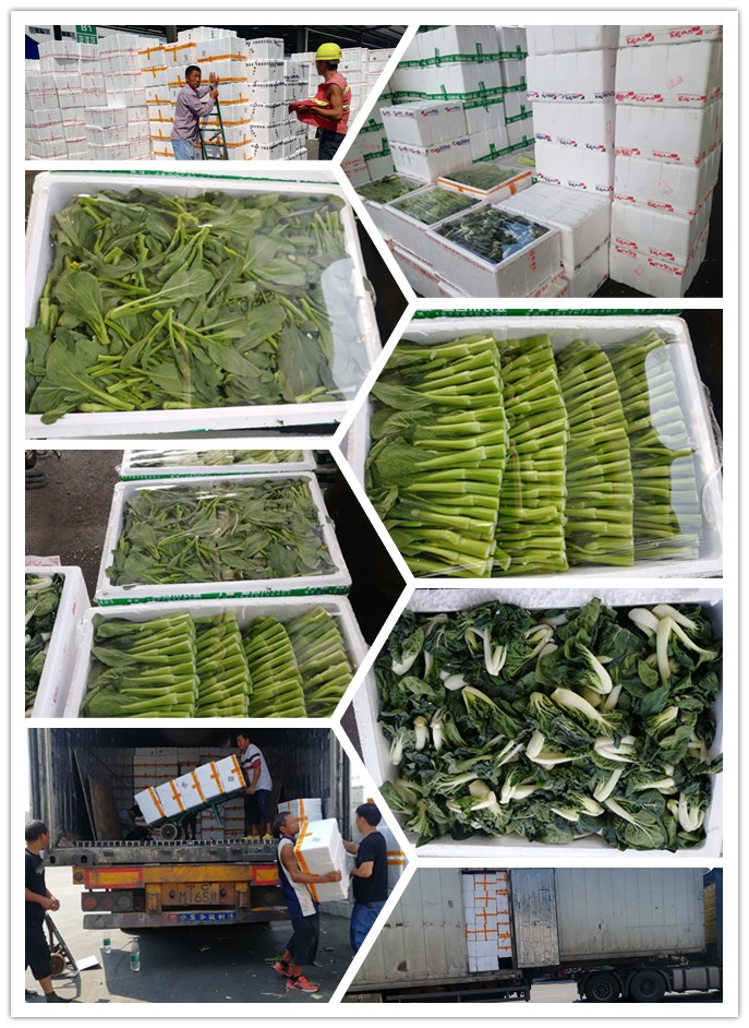 EVO厅·(中国区)视讯官网