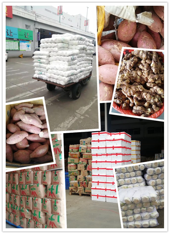 EVO厅·(中国区)视讯官网