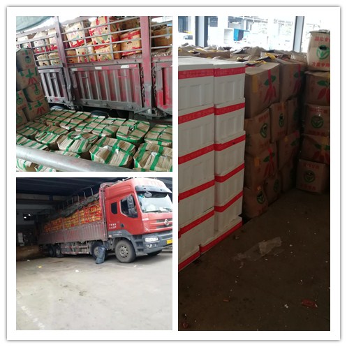 EVO厅·(中国区)视讯官网