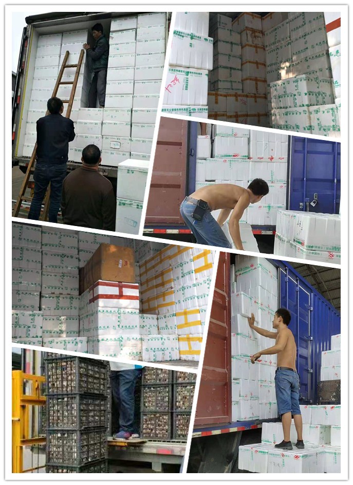 EVO厅·(中国区)视讯官网