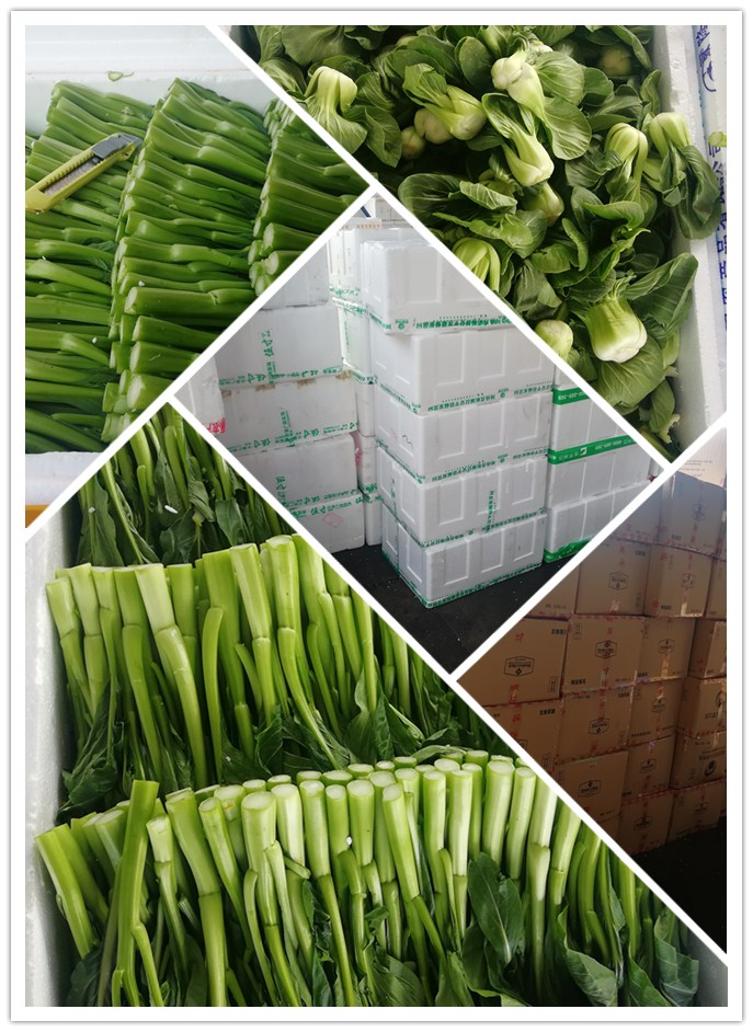 EVO厅·(中国区)视讯官网