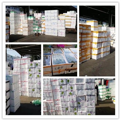 EVO厅·(中国区)视讯官网