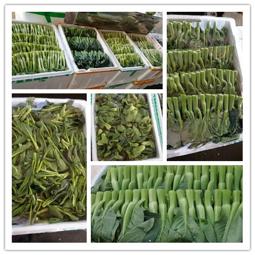 EVO厅·(中国区)视讯官网