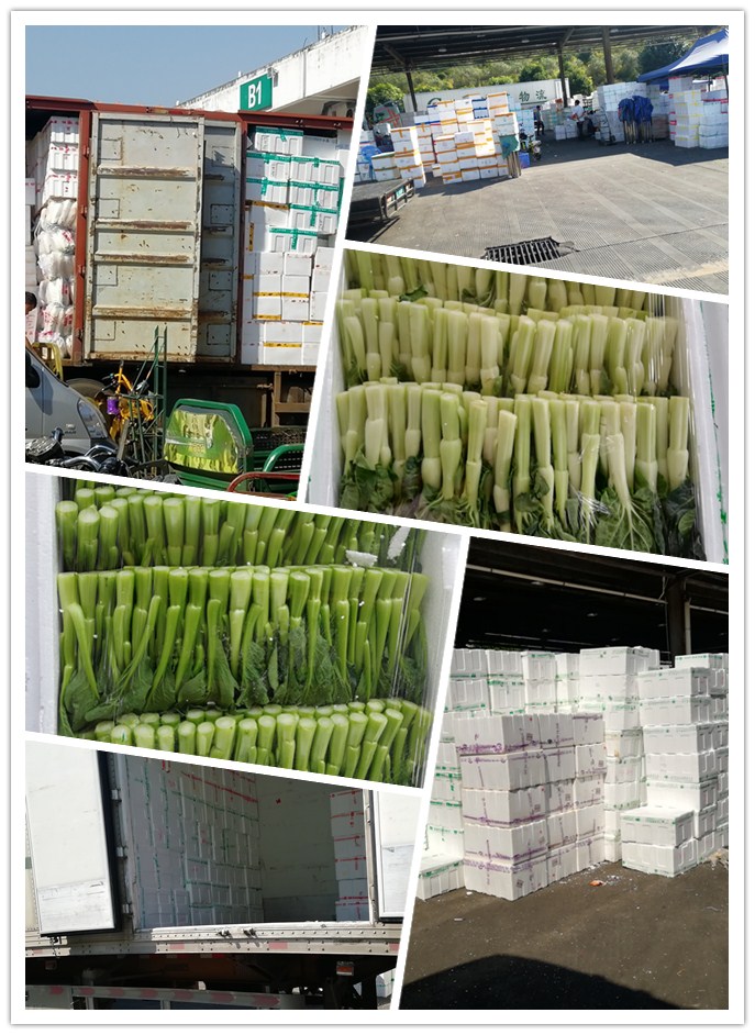 EVO厅·(中国区)视讯官网