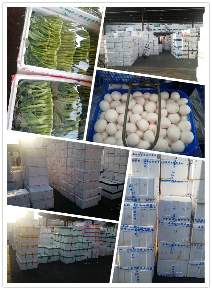 EVO厅·(中国区)视讯官网