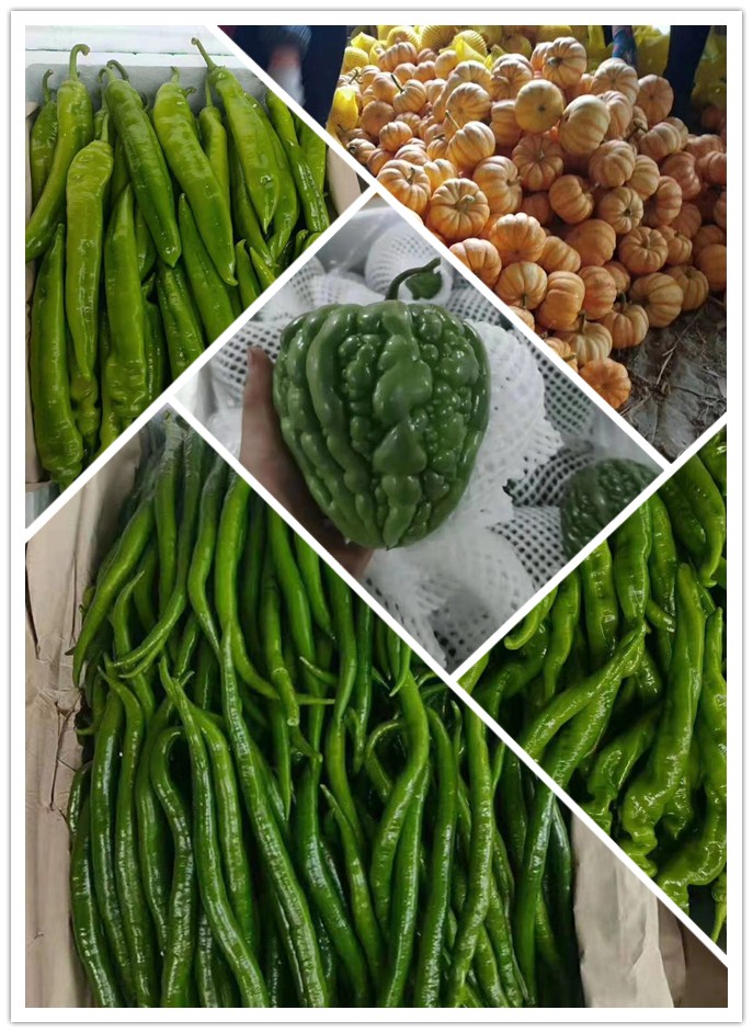 EVO厅·(中国区)视讯官网