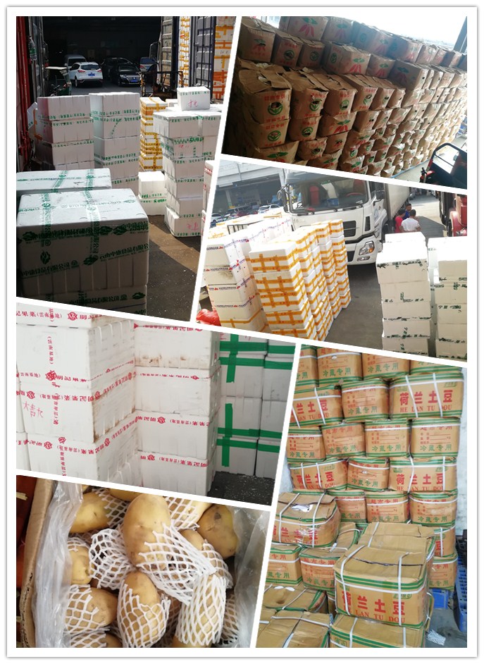 EVO厅·(中国区)视讯官网