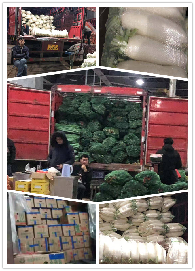 EVO厅·(中国区)视讯官网