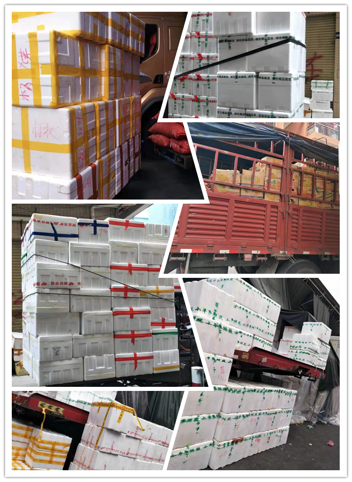 EVO厅·(中国区)视讯官网