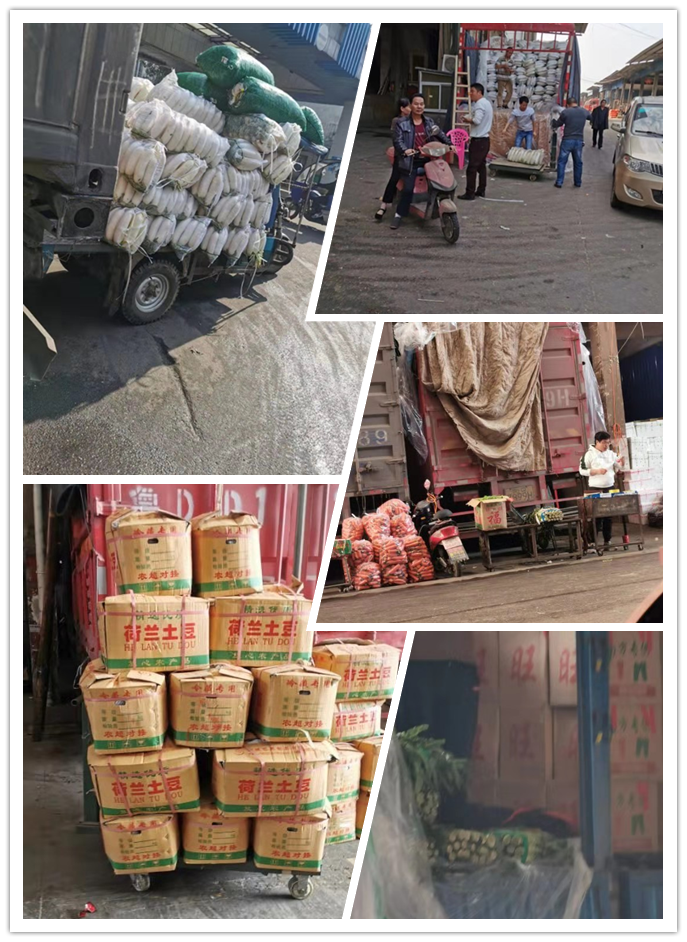 EVO厅·(中国区)视讯官网