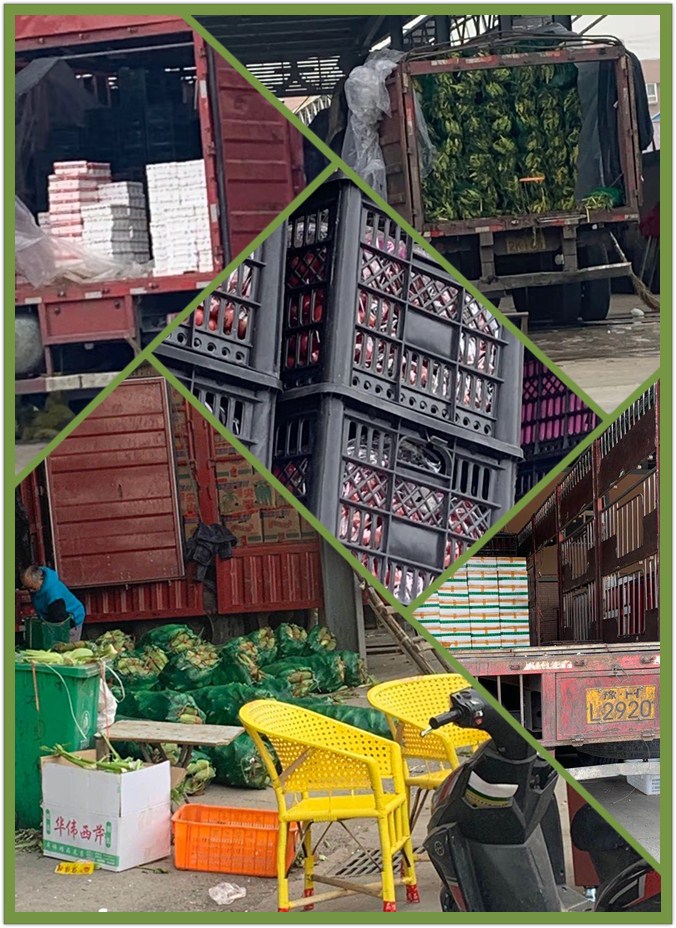 EVO厅·(中国区)视讯官网