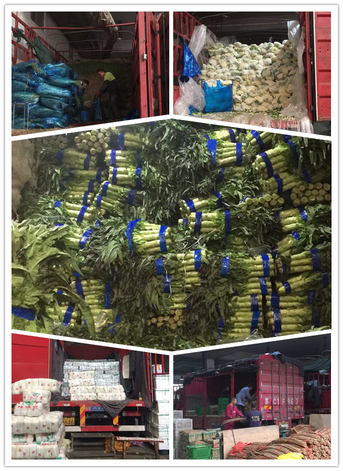 EVO厅·(中国区)视讯官网