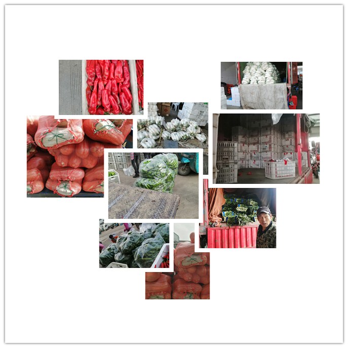 EVO厅·(中国区)视讯官网