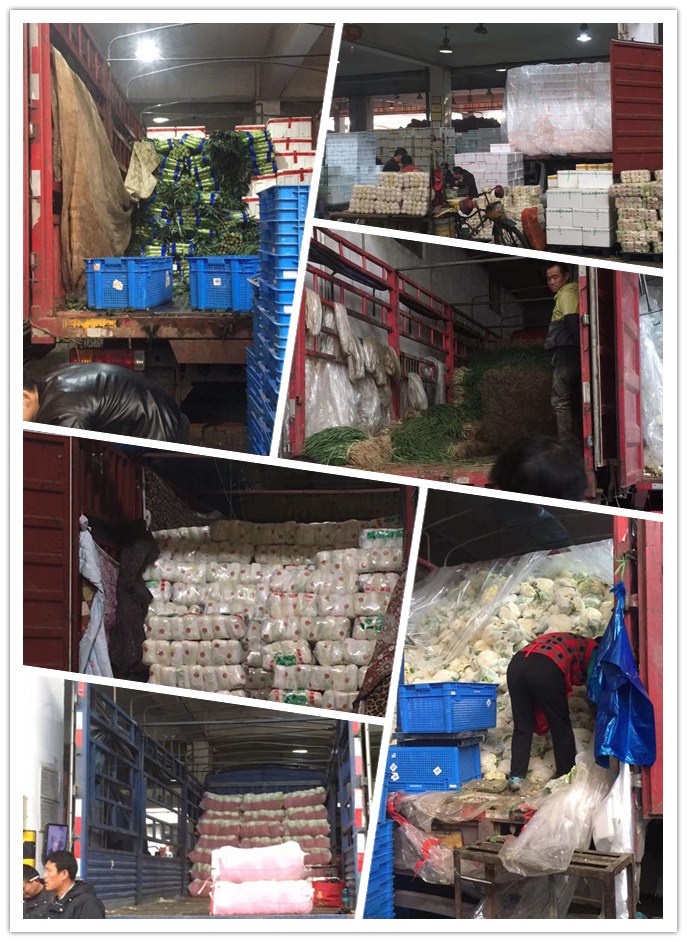 EVO厅·(中国区)视讯官网