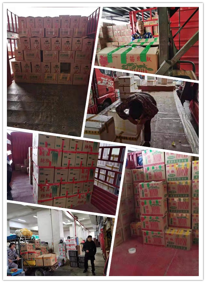 EVO厅·(中国区)视讯官网