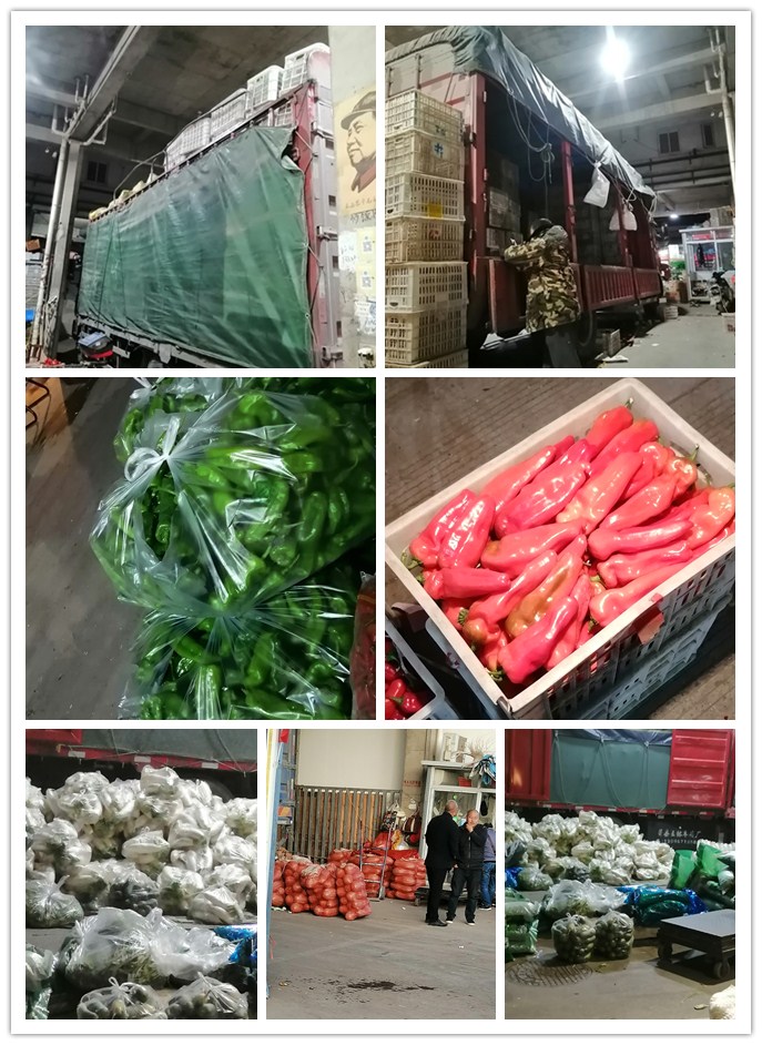 EVO厅·(中国区)视讯官网