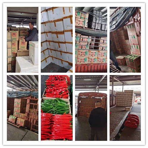 EVO厅·(中国区)视讯官网